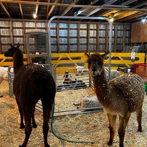 Meet your Posher, Jade